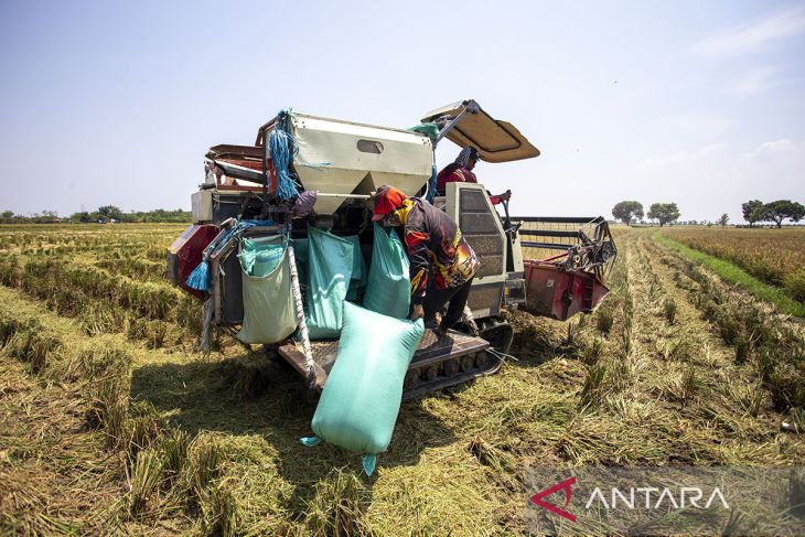 Pemanfaatan dana desa untuk ketahanan pangan