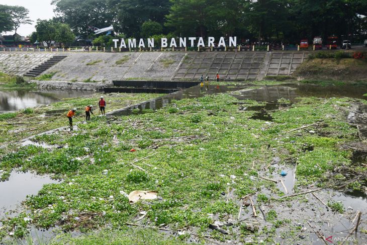 Menyingkirkan sampah sungai di Madiun