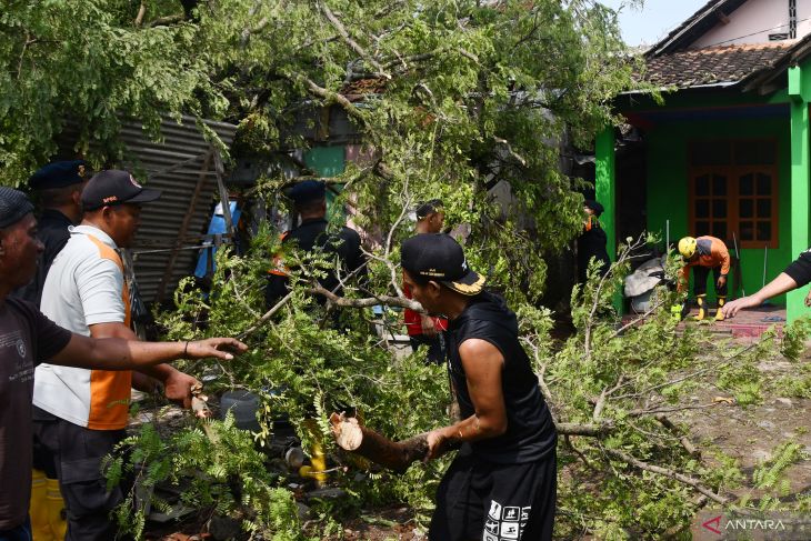 Dampak bencana angin kencang di Madiun