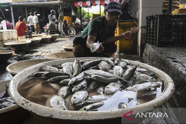 Produksi perikanan untuk swasembada pangan nasional