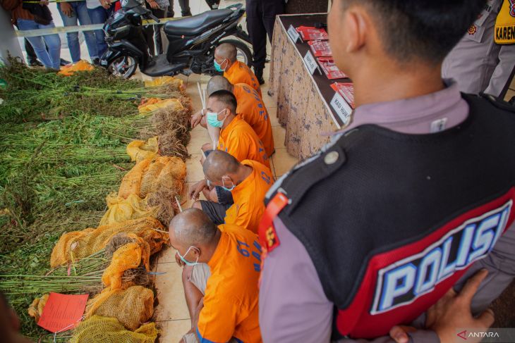 Rilis pengembangan kasus ladang ganja di kawasan TNBTS