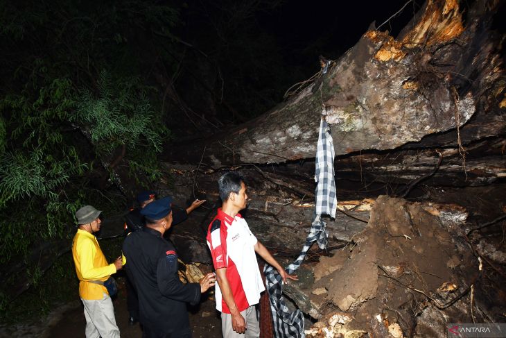 Bencana angin kencang di Madiun