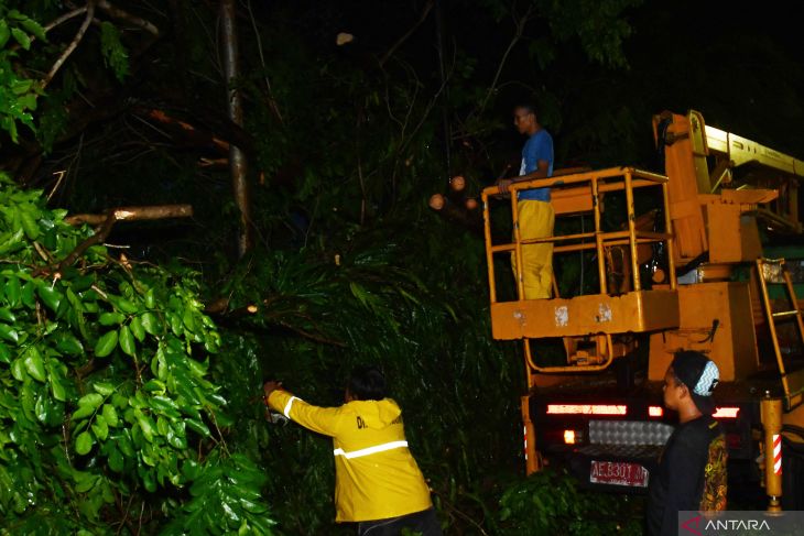 Bencana angin kencang di Madiun