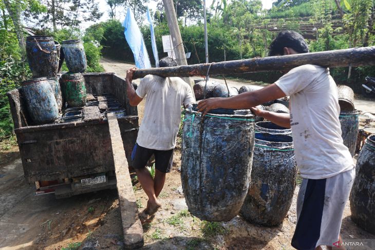 Target produksi getah pinus Jatim