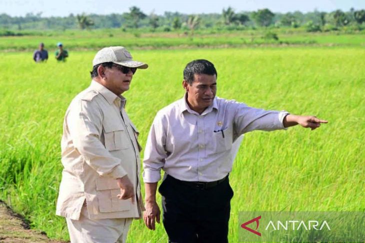Indonesia's rice reserves hit record 3 million tons: President Prabowo