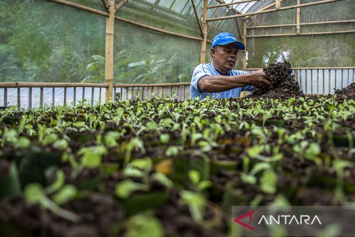 Peternak mengolah kotoran hewan (kohe) dengan teknologi biodigester jadi biogas di Lembang