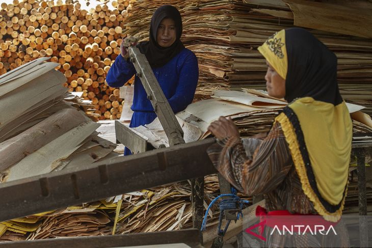 Keadaan ketenagakerjaan Indonesia