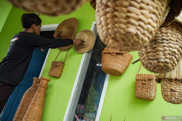 Pemanfaatan eceng gondok dan limbah kelapa untuk kerajinan