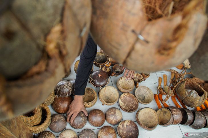 Pemanfaatan eceng gondok dan limbah kelapa untuk kerajinan