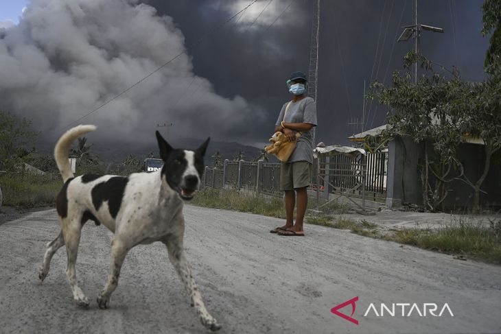 Erupsi Gunung Lewotobi Laki-laki meningkat