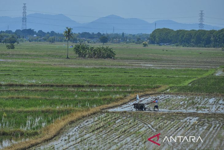 Target penyediaan alsintan Kementerian Pertanian tahun 2025