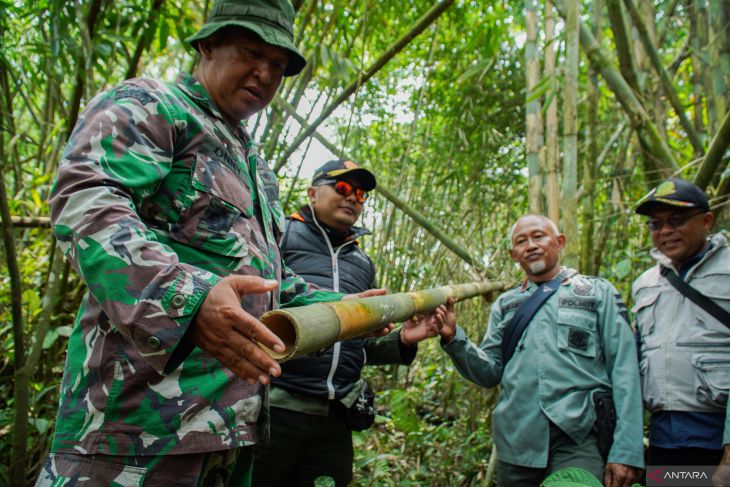 Patroli dan pengendalian kawasan hutan Perhutani