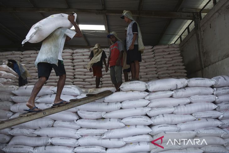 Pemerintah sederhanakan alur distribusi pupuk subsidi untuk petani