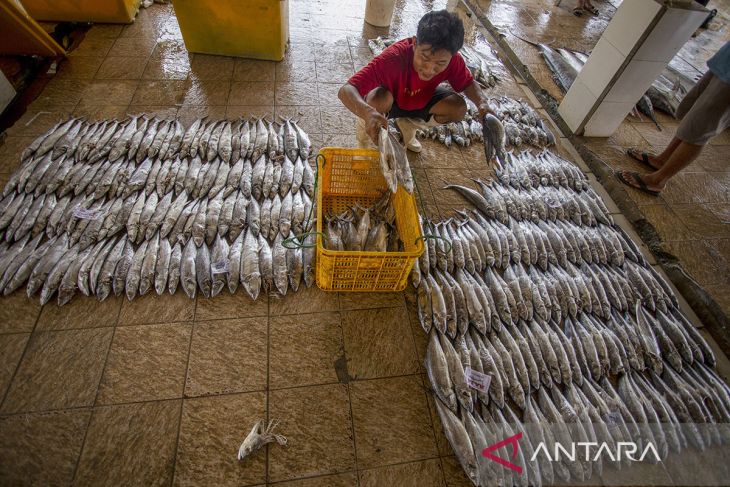 KKP gandeng koperasi dukung makan bergizi gratis