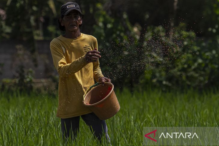 Penyederhanaan distribusi pupuk subsidi