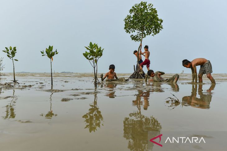 Pantai Pasir Putih tidak terawat