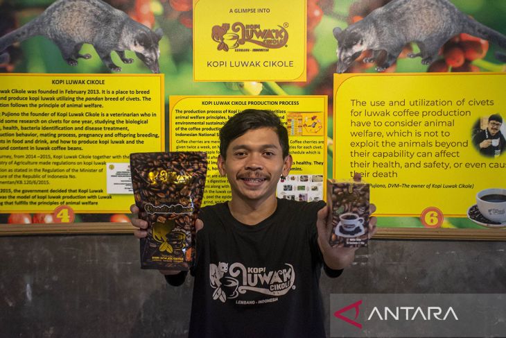 Produksi kopi luwak di Lembang