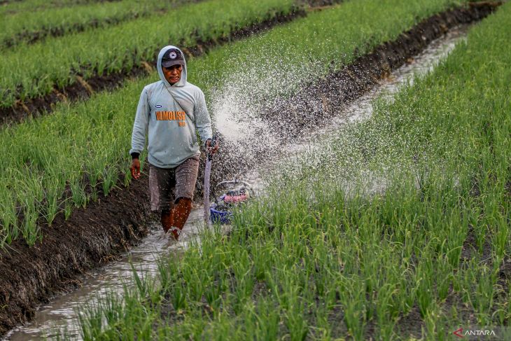 Target nilai tukar petani tercapai