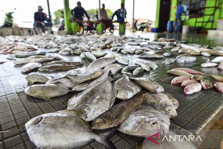 Hasil tangkapan ikan menurun dampak peralihan cuaca