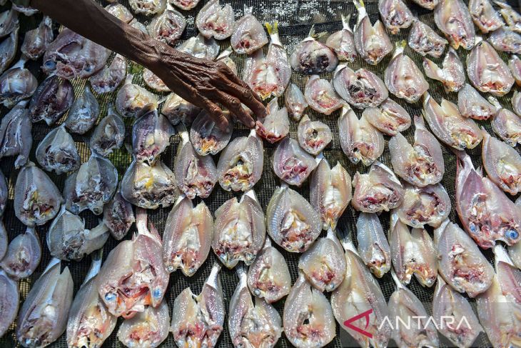 Produksi ikan asin menurun di Kota Serang