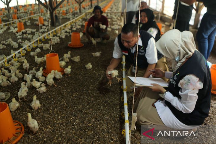 FOTO - BPOM lakukan pengendalian resistens antimikroba di Aceh Besar