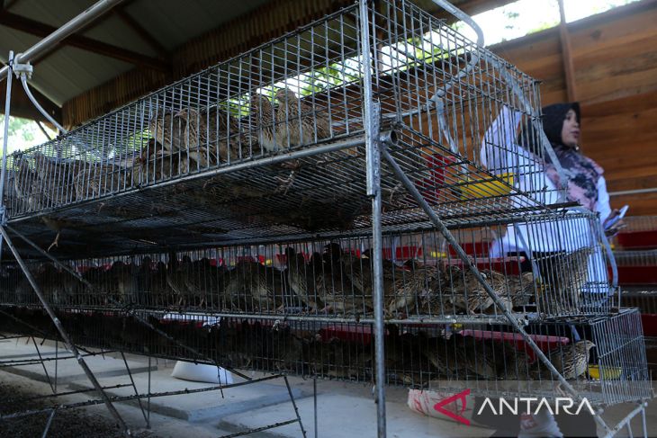 FOTO - BPOM lakukan pengendalian resistens antimikroba di Aceh Besar