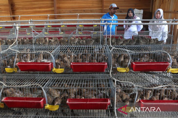 FOTO - BPOM lakukan pengendalian resistens antimikroba di Aceh Besar