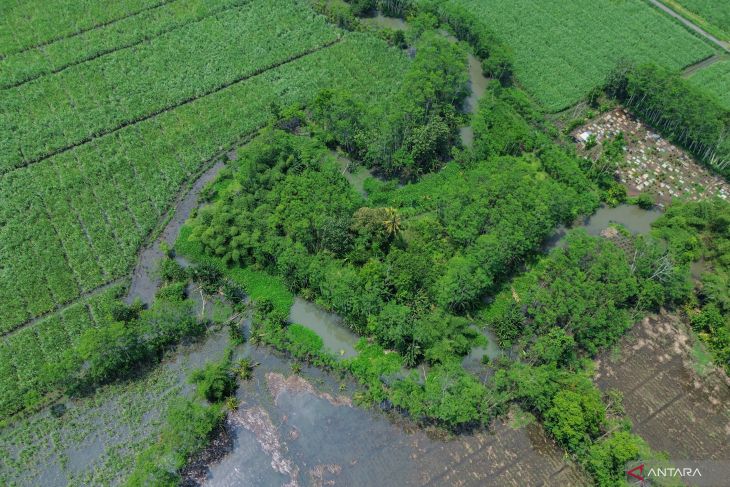 Banjir akibat luapan sungai di Lumajang