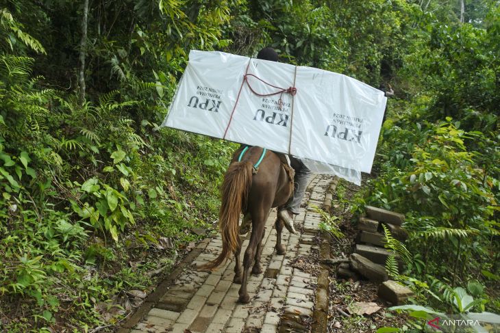 Distribusi logistik Pilkada menggunakan kuda di Jember