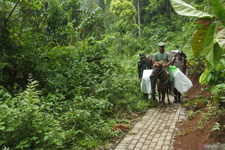 Distribusi logistik Pilkada menggunakan kuda di Jember