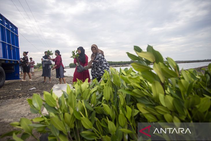 Target restorasi Mangrove