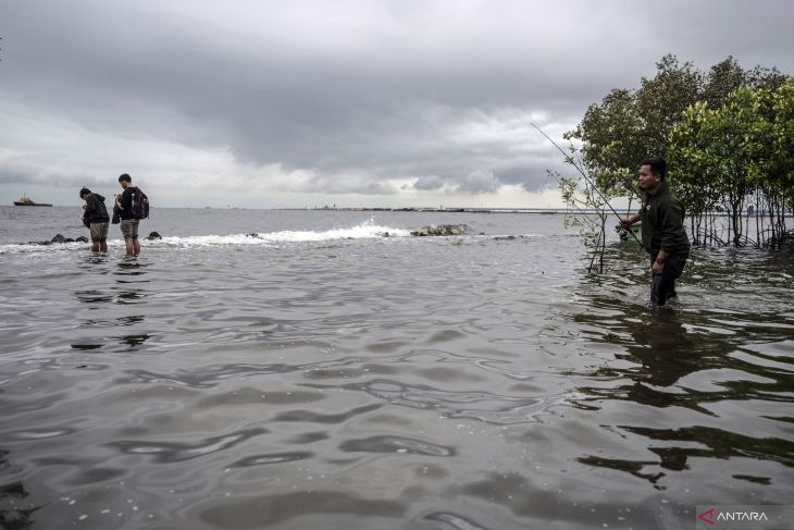 PBB catat laju kenaikan permukaan laut berlipat ganda dalam 10 tahun