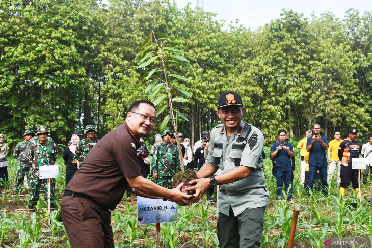 Gerakan sedekah oksigen di Madiun