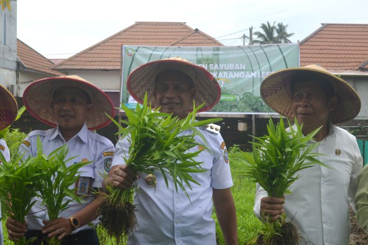 Gerakan menanam perkarangan bergizi cepat panen di Pontianak