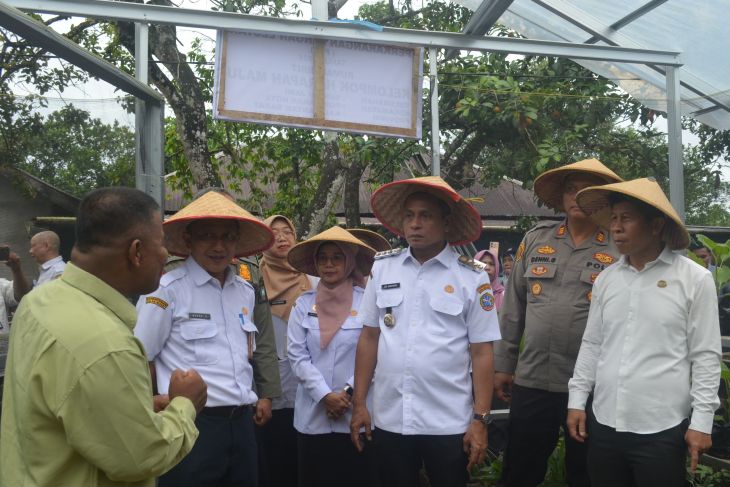 Gerakan menanam perkarangan bergizi cepat panen di Pontianak