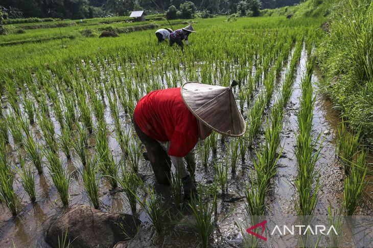 Nilai tukar petani Provinsi Banten