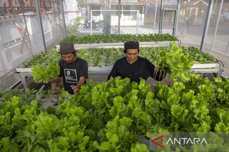 Alokasi dana desa untuk ketahanan pangan