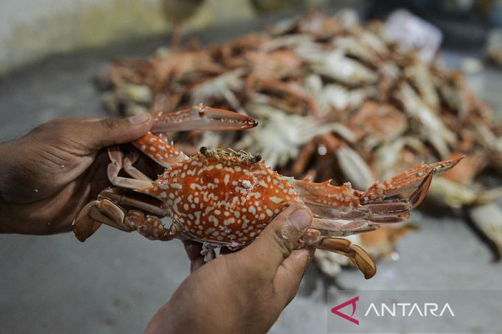 Peningkatan kualitas produksi perikanan nasional