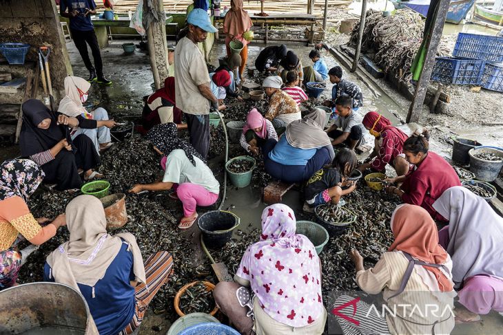 Produksi kerang hijau menurun akibat cuaca buruk