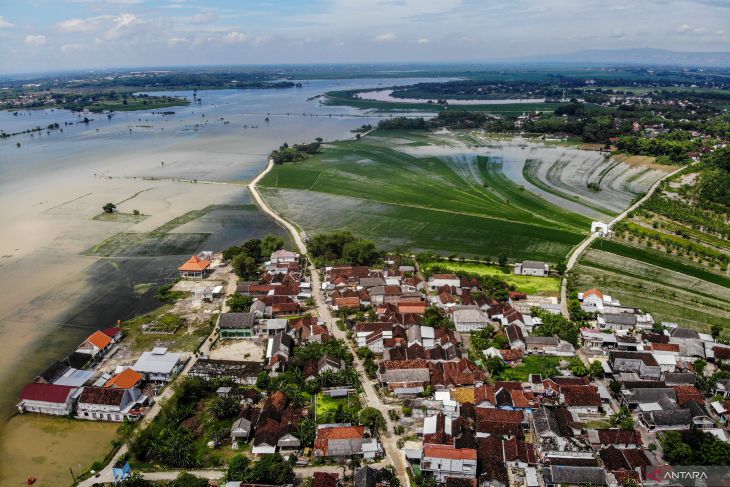 Lahan pertanian terdampak luapan Sungai Bengawan Solo