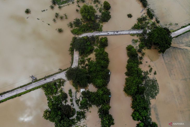 Lahan pertanian terdampak luapan Sungai Bengawan Solo