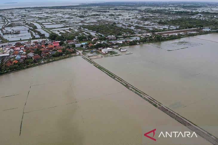 Ribuan hektare sawah terendam banjir di Banten