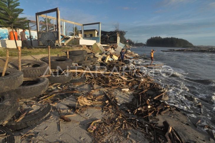 Konservasi penyu di Bengkulu Tengah rusak akibat abrasi pantai