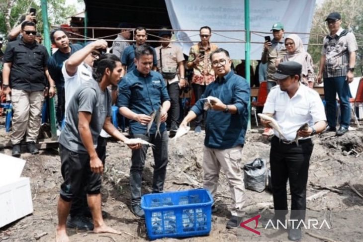 Penajam ajak pelaku usaha perikanan penetrasi pasar di IKN
