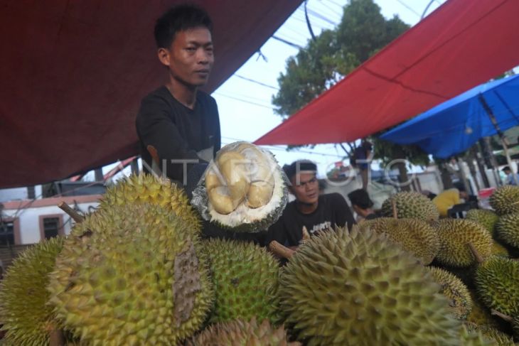 Musim durian di Bengkulu