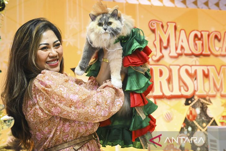 Kompetisi kucing bertema Natal