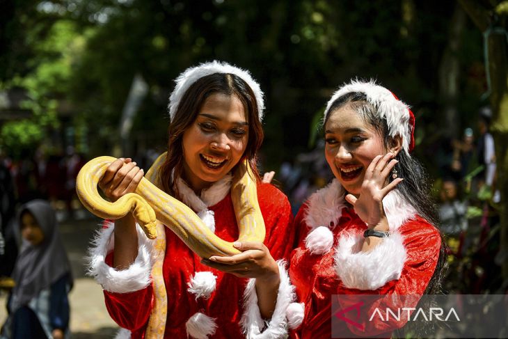 Libur Natal di kebun binatang Bandung