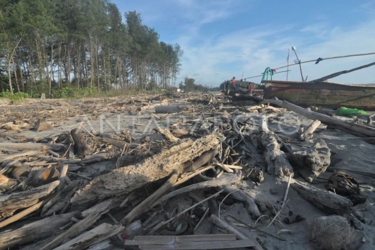 Pantai Pekik Nyaring Bengkulu dipenuhi sampah kiriman