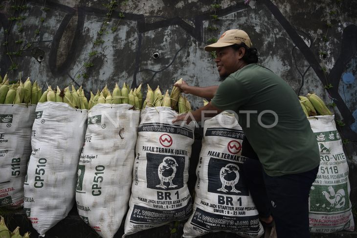 Penjualan jagung musiman tahun baru