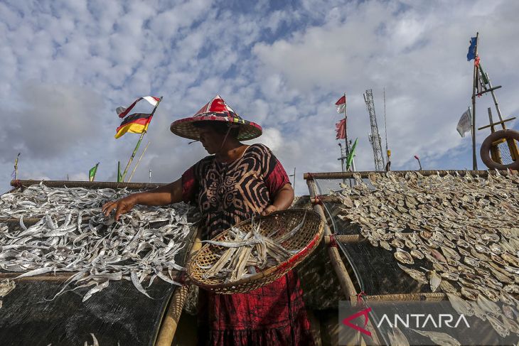 Komitmen pemerintah penuhi kebutuhan protein